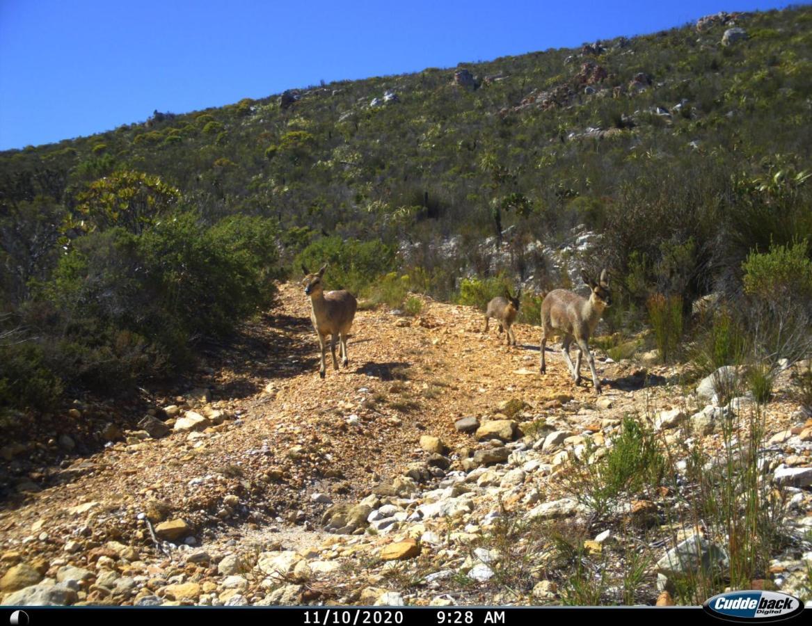 Farm 215 Private Nature Reserve Uilenkraal Exterior photo