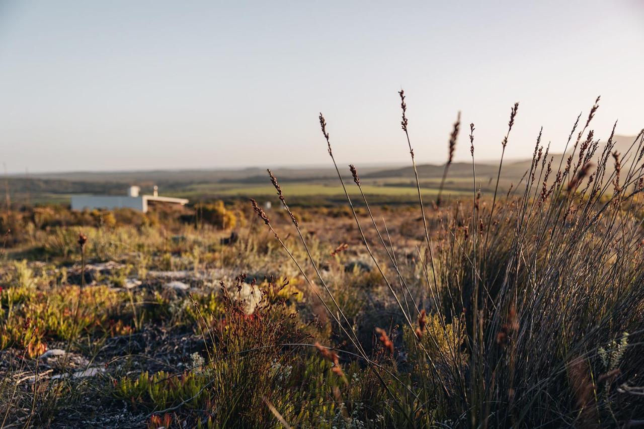 Farm 215 Private Nature Reserve Uilenkraal Exterior photo